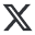 ex-icon